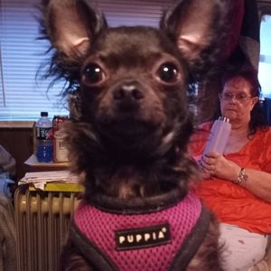 Meet your Posher, Melvern